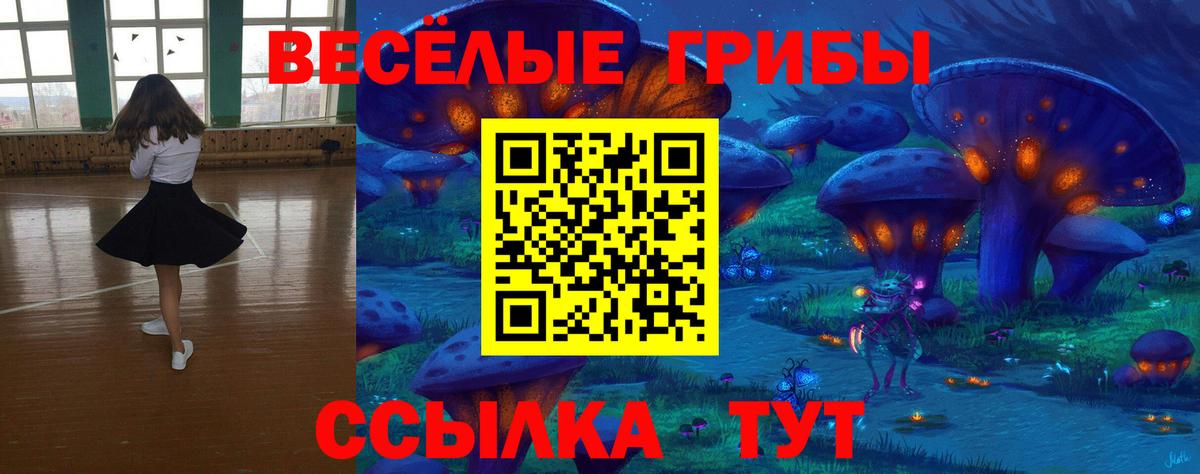 Галлюциногенные грибы прущие грибы Подольск